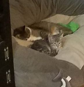 Meet your Posher, Kristina